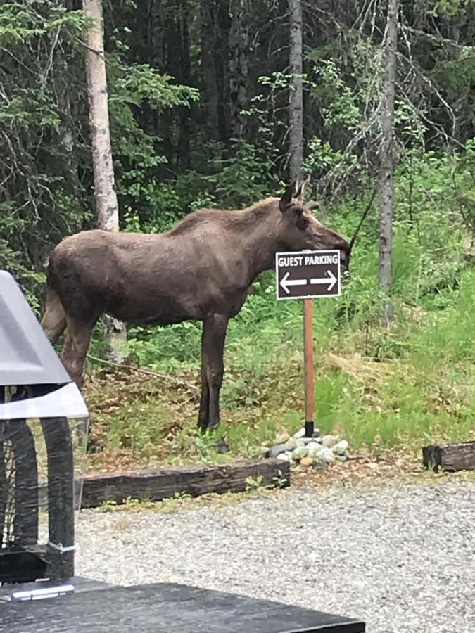Talkeetna Lakeside Cabins เดนาลี ภายนอก รูปภาพ